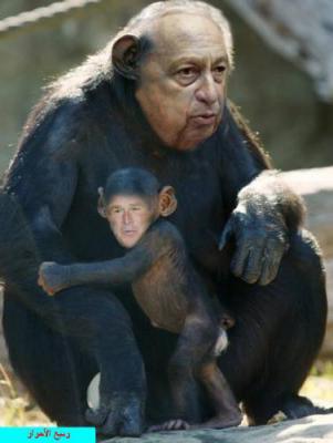 aji a hbiba dyali